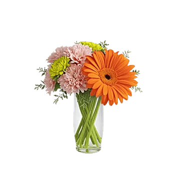 Petal Harmony Bliss