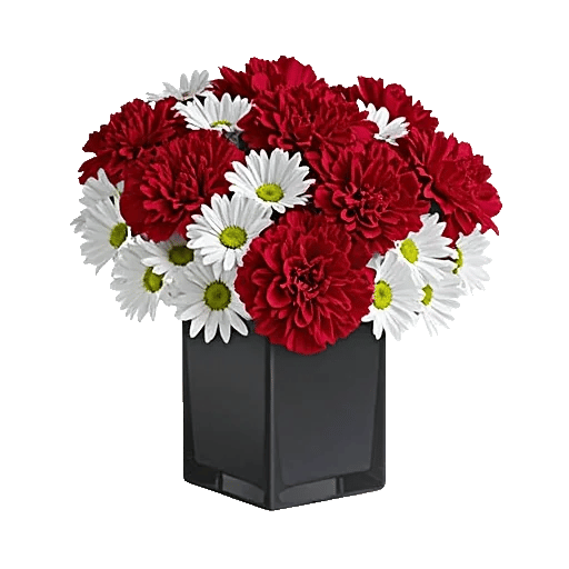 Crimson Blossom Harmony