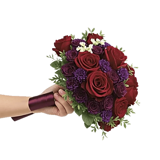 Crimson Rose Elegance