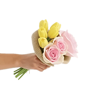 Blossom Harmony Display