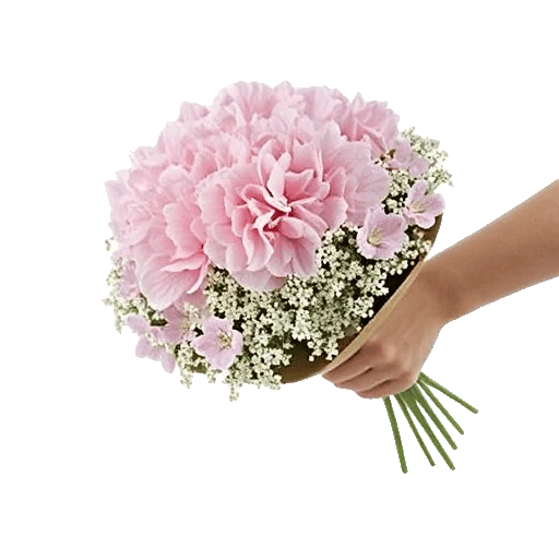 Serene Petal Harmony