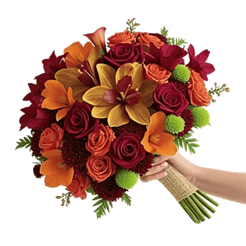 Modern White Orchids