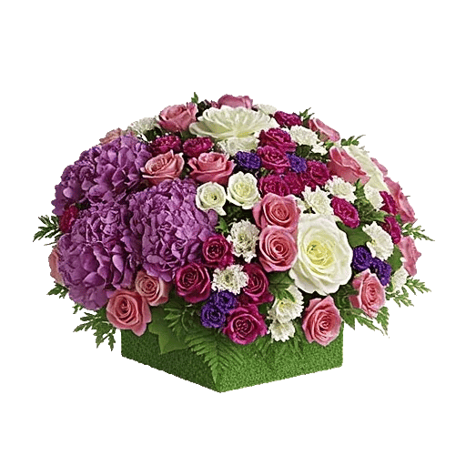 Ivory Blossom Radiance