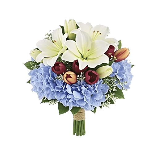 Ivory Blossom Radiance