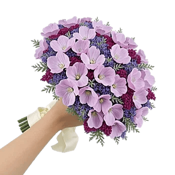 Delicate Petal Cascade