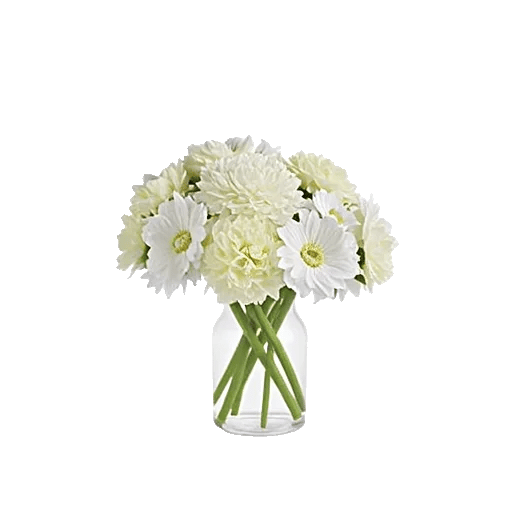 Ivory Blossom Radiance