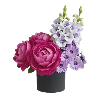 Petal Radiance Bliss