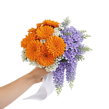 Vibrant Orange Delight