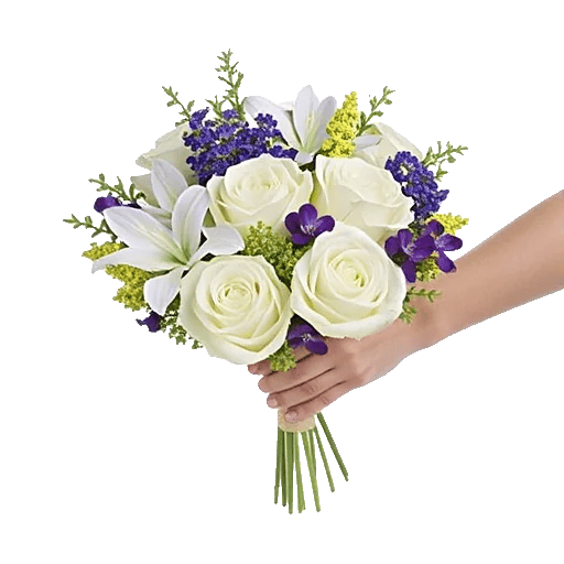 Ivory Garden Grace
