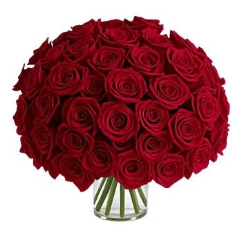 Crimson Rose Elegance
