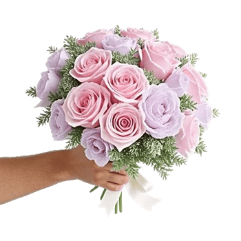 Pastel Pink Roses