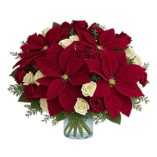 Petal Radiance Bliss