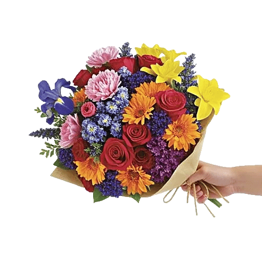 Petal Harmony Bliss