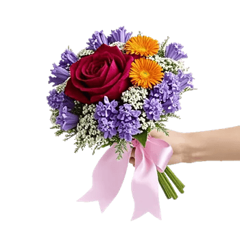 Crimson Rose Elegance