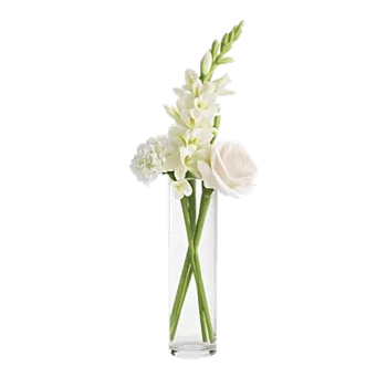 Minimalist White Orchids