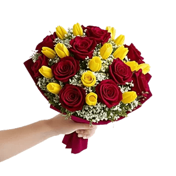 Crimson Rose Elegance