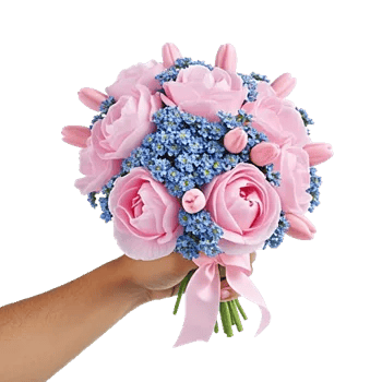 Peony Petal Harmony