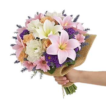 Blushing Rose Symphony