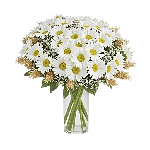 Ivory Blossom Radiance