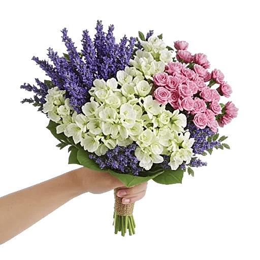 Blossom Harmony Display