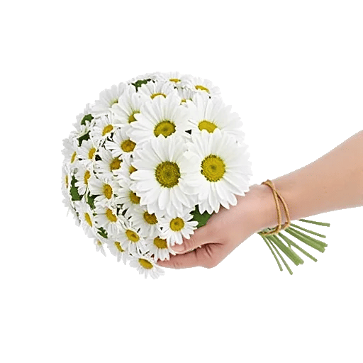 Petal Harmony Bliss