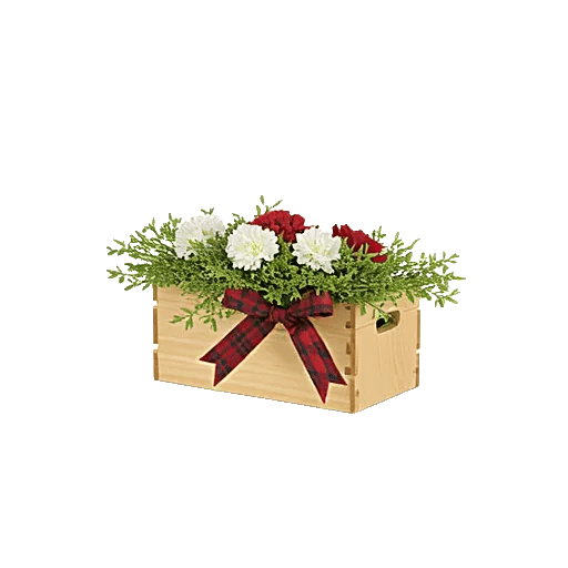 Delicate Petal Cascade