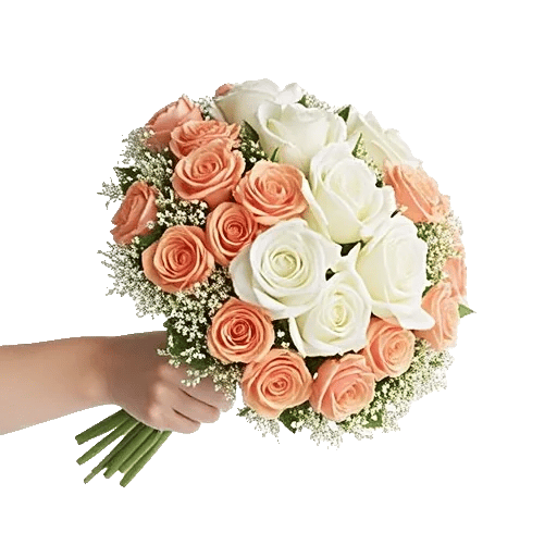 Blushing Rose Symphony