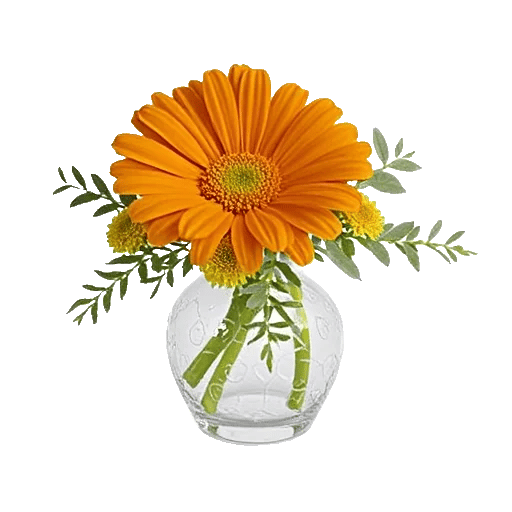 Minimalist White Orchids