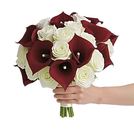 Elegant Calla Lilies