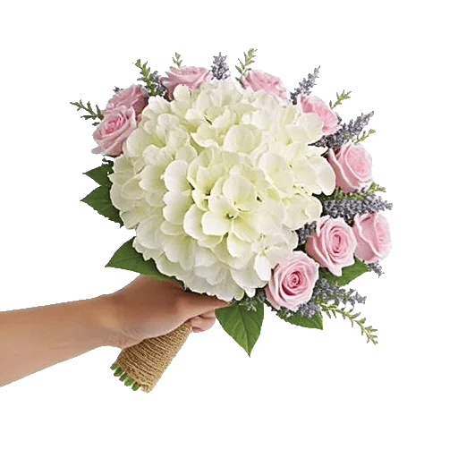 Serene Petal Harmony
