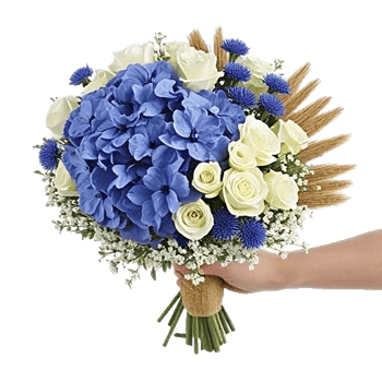 Serene Petal Harmony