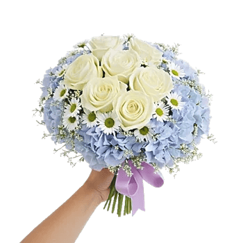 Serene Petal Harmony