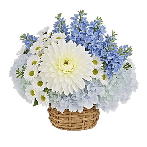 Serene Petal Harmony