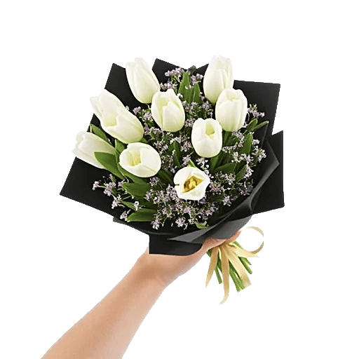 Velvet Tulip Display