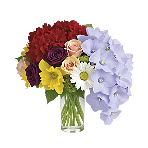 Petal Radiance Bliss