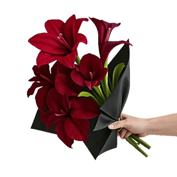 Elegant Calla Lilies