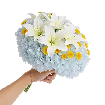 Serene Petal Harmony