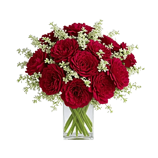 Crimson Blossom Harmony