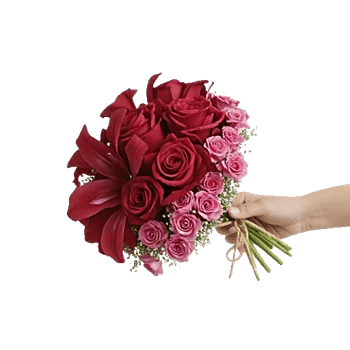 Crimson Rose Elegance