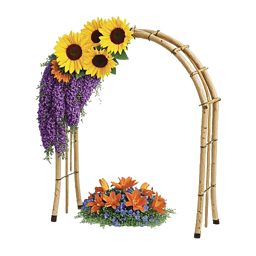 Ivory Blossom Radiance