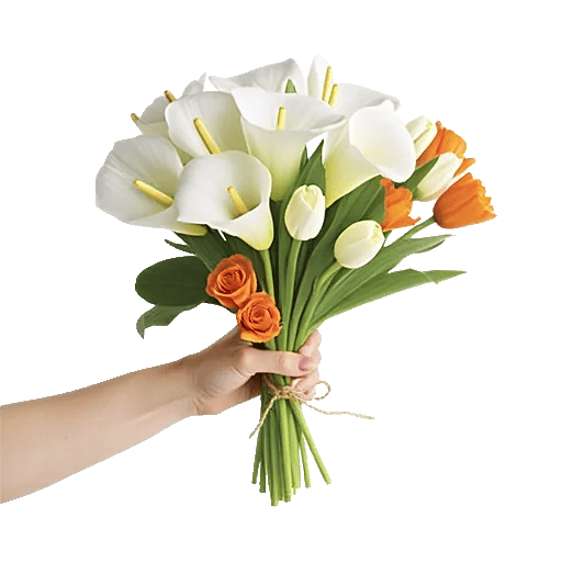 Elegant Calla Lilies