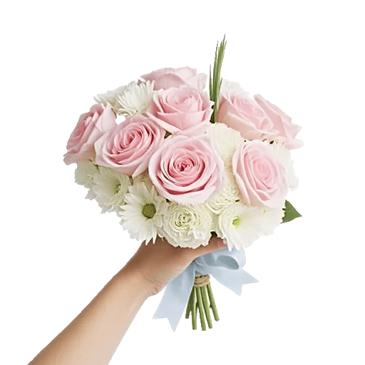 Pastel Pink Roses