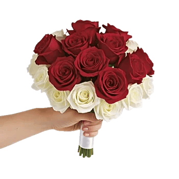 Crimson Rose Elegance