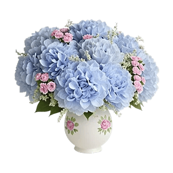 Serene Petal Harmony