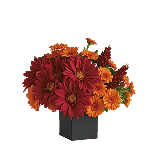 Crimson Blossom Harmony