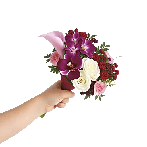 Elegant Calla Lilies