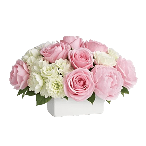 Delicate Petal Cascade
