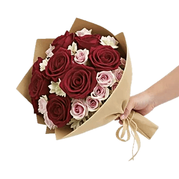Blushing Rose Symphony