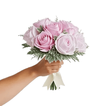 Pastel Pink Roses