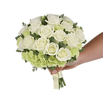 Ivory Garden Grace